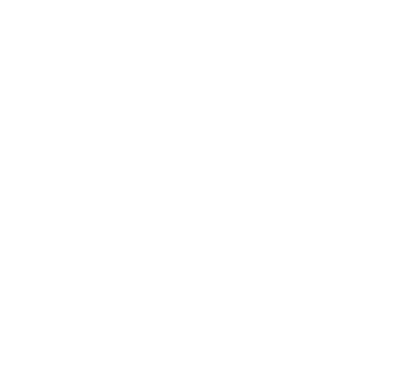 Peta SRL
